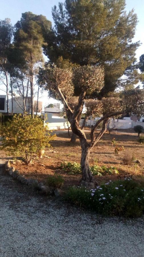 Pinomar Apartment Teulada Exterior photo