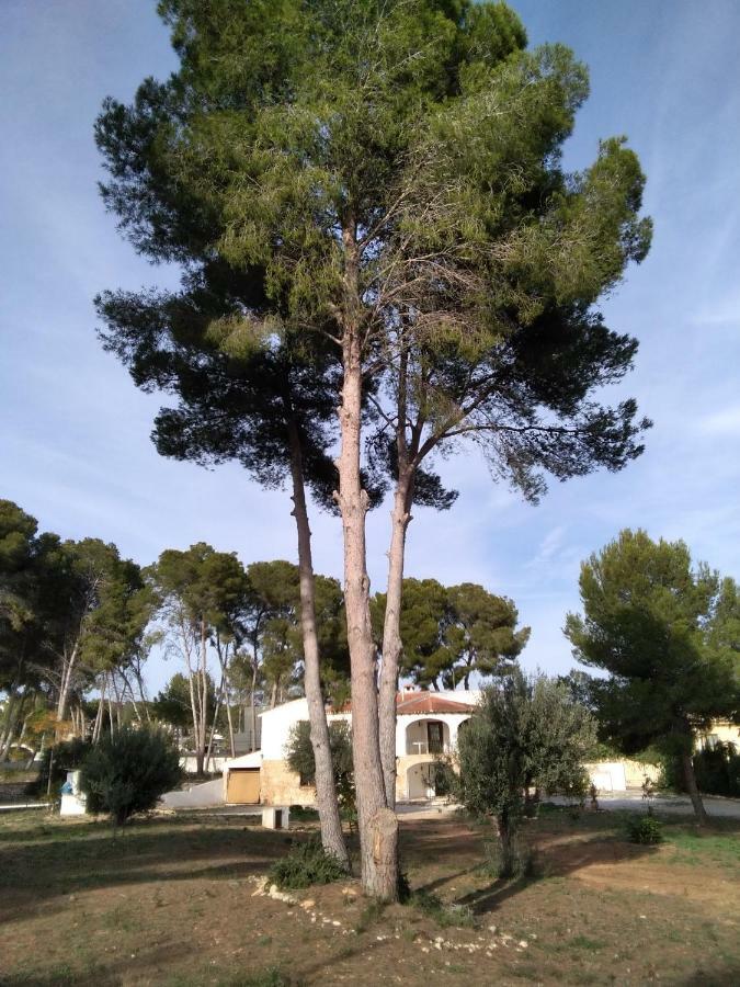 Pinomar Apartment Teulada Exterior photo